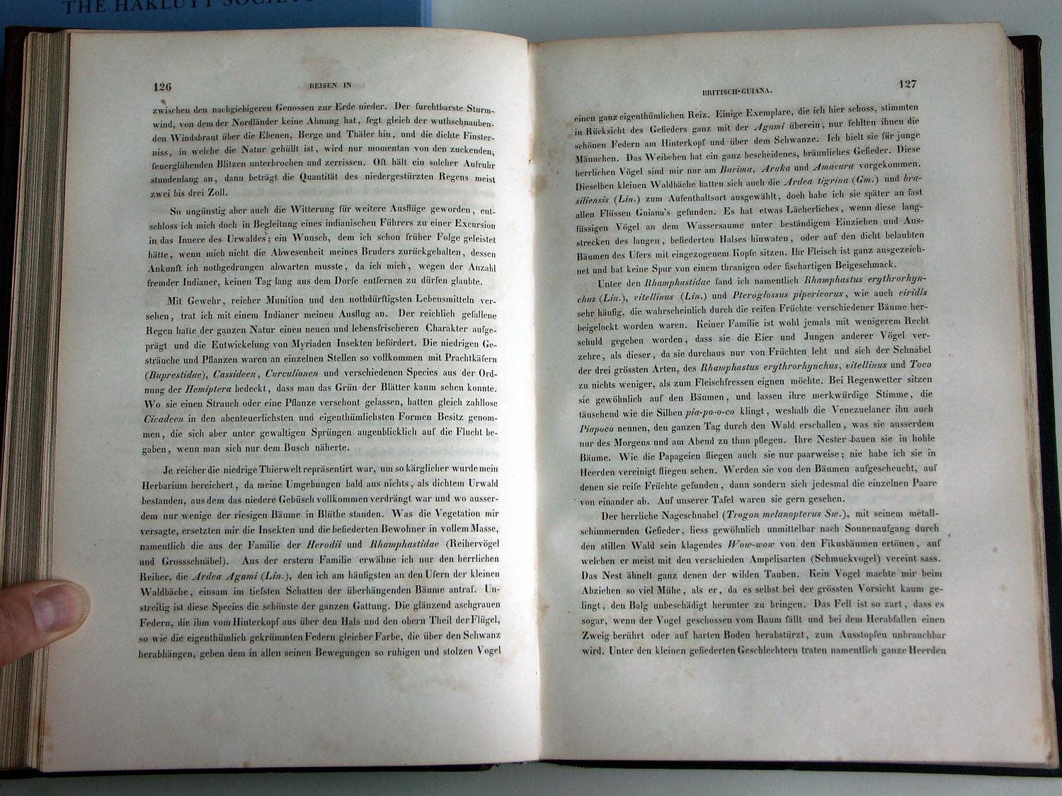 ZZ-RISC47,S.126 Ramphastos=Piapoco